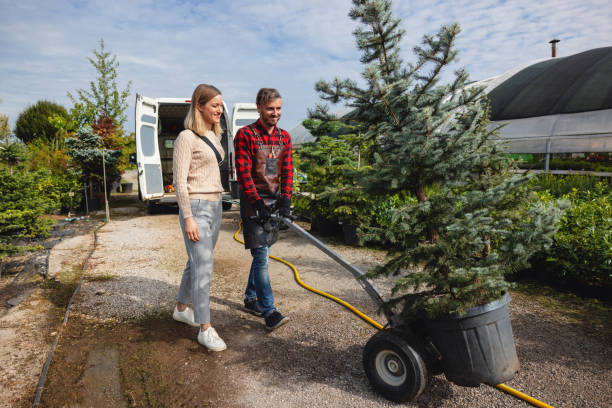 Best Tree Branch Trimming  in Rossville, GA